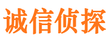 崇阳外遇出轨调查取证